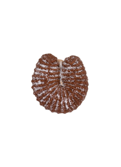 Πτι-Φουρ espresso caramel