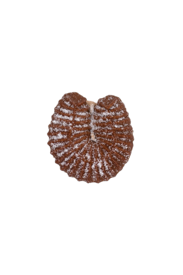 Πτι-Φουρ espresso caramel